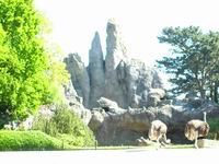 Panorama von Hagenbeck